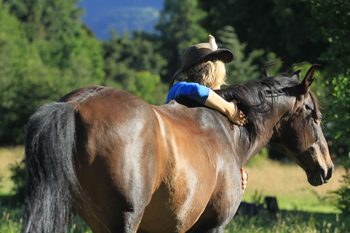 Reiten in de Anden, Chile und Argentinien, Die Pferde von Antilco: Bartholo